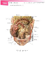 Sobotta  Atlas of Human Anatomy  Trunk, Viscera,Lower Limb Volume2 2006, page 171